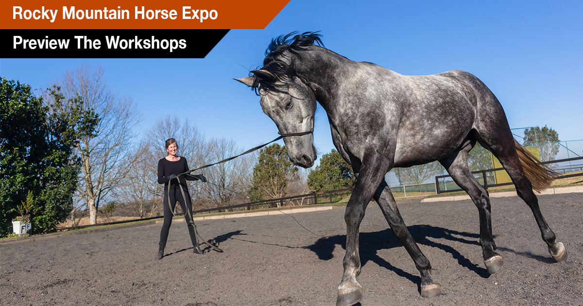 2024 Clinician Events Rocky Mountain Horse Expo